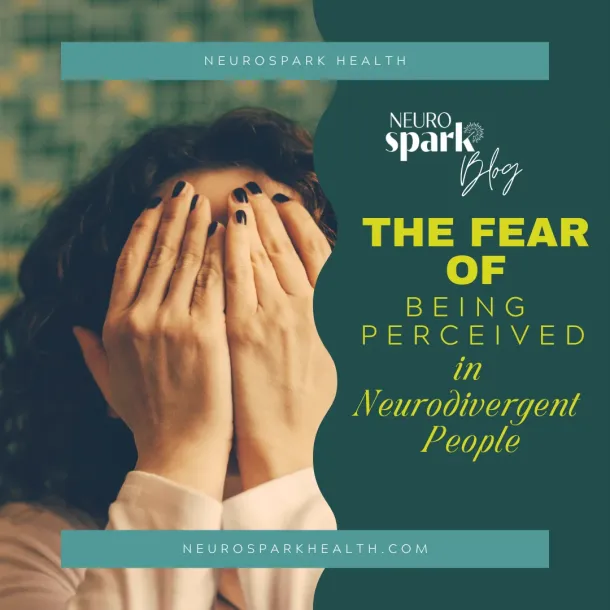 Thumbnail image for blog post: The Fear Of Being Perceived