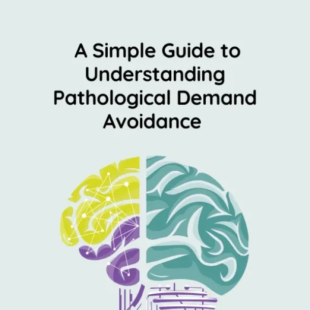Visual representation of NeuroSpark Health's Guide to Understanding Pathological Demand Avoidance.