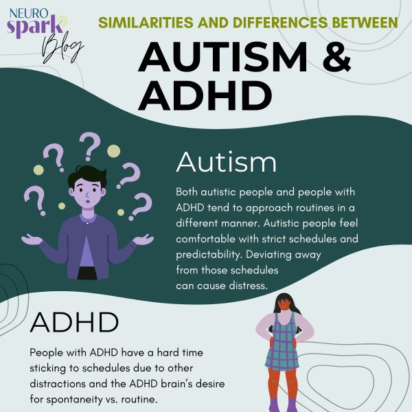 Cartoonish graphic representing the difference between ADHD and autism.