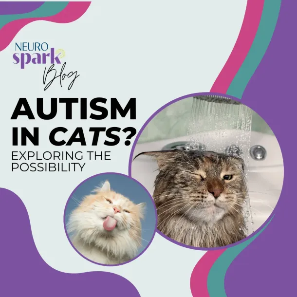 2 "autistic cats" representing the blog Can Cats Have Autism?